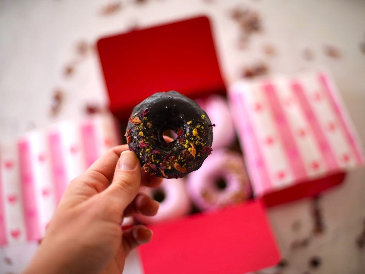 CANINE Valentine's Box 🐾 Grain-Free Le Donut